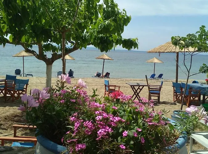 Paschalia View 公寓 *